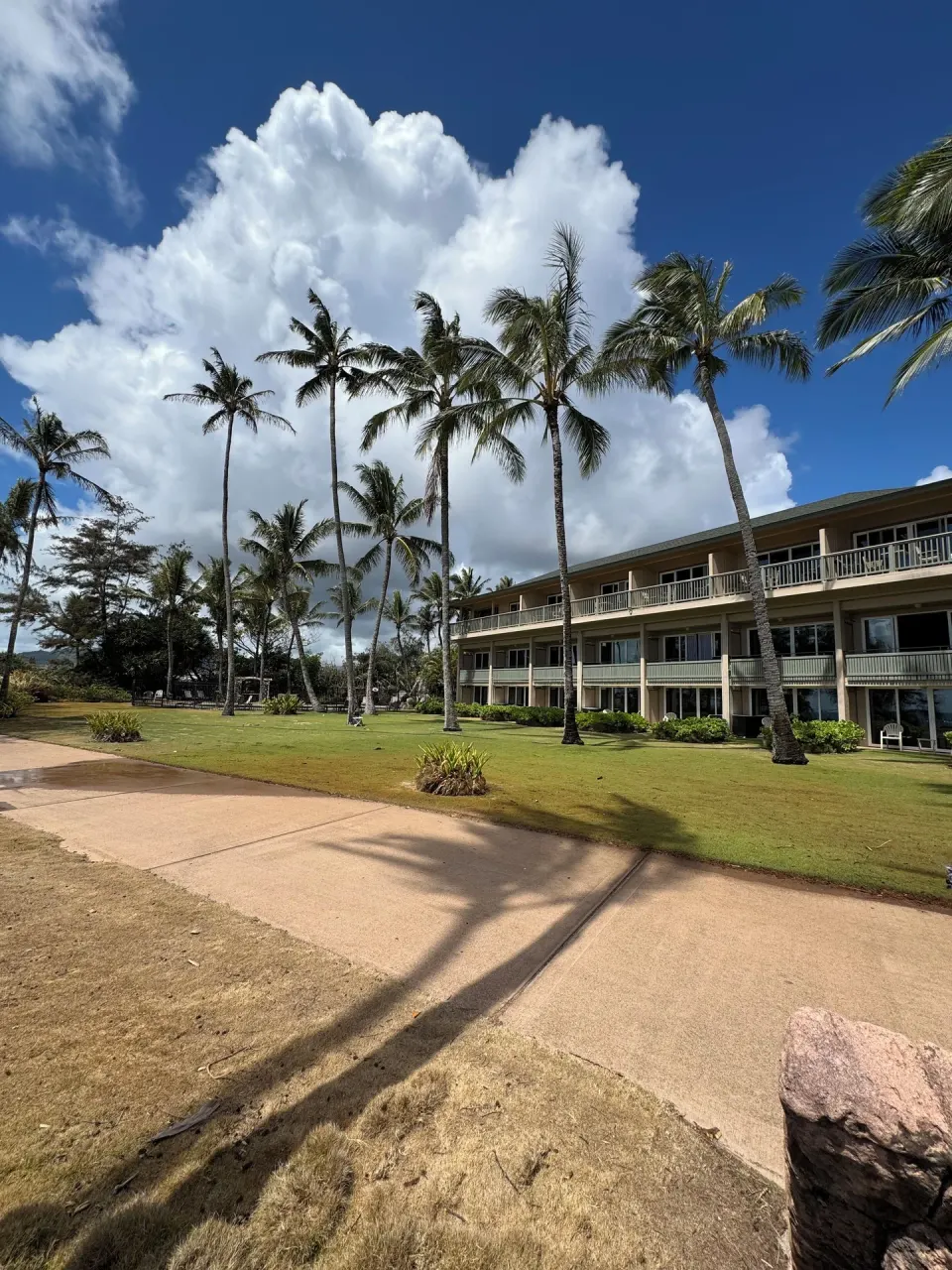 Palm-lined lawn and resort building under bright clouds at Hotel Coral Reef.