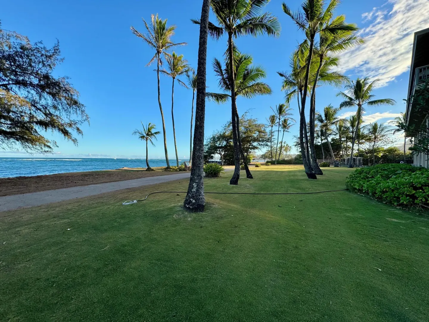Palm-lined lawn beside the ocean and resort building at Hotel Coral Reef.