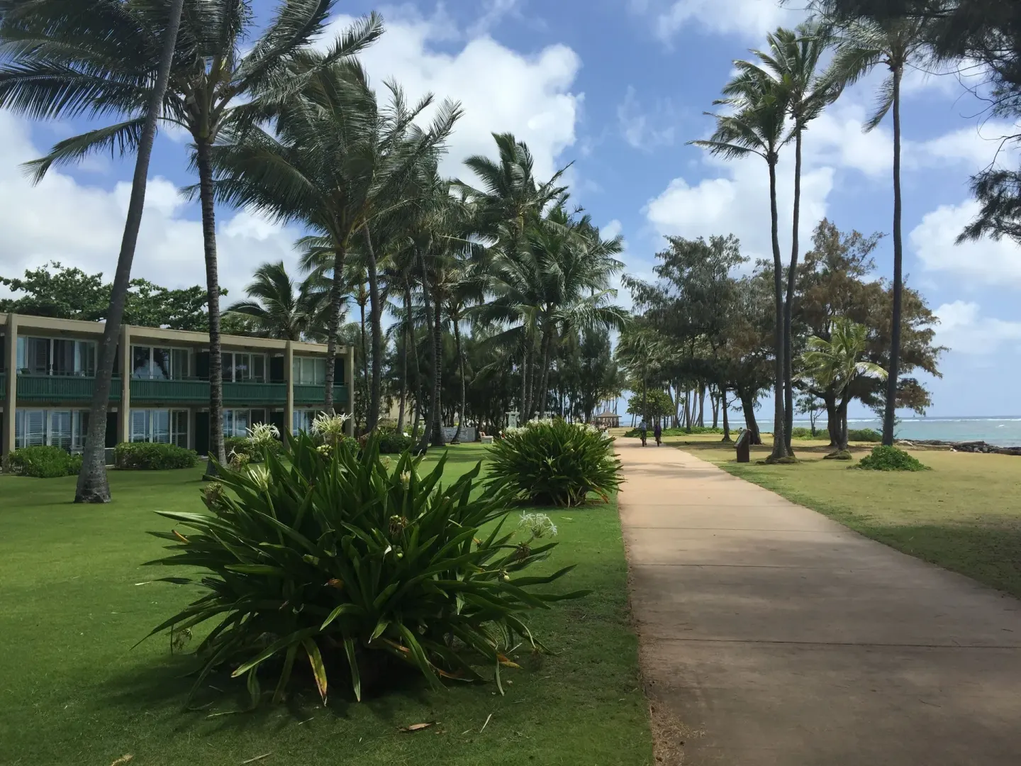 Palm-lined path beside lawns and guest buildings at Hotel Coral Reef.