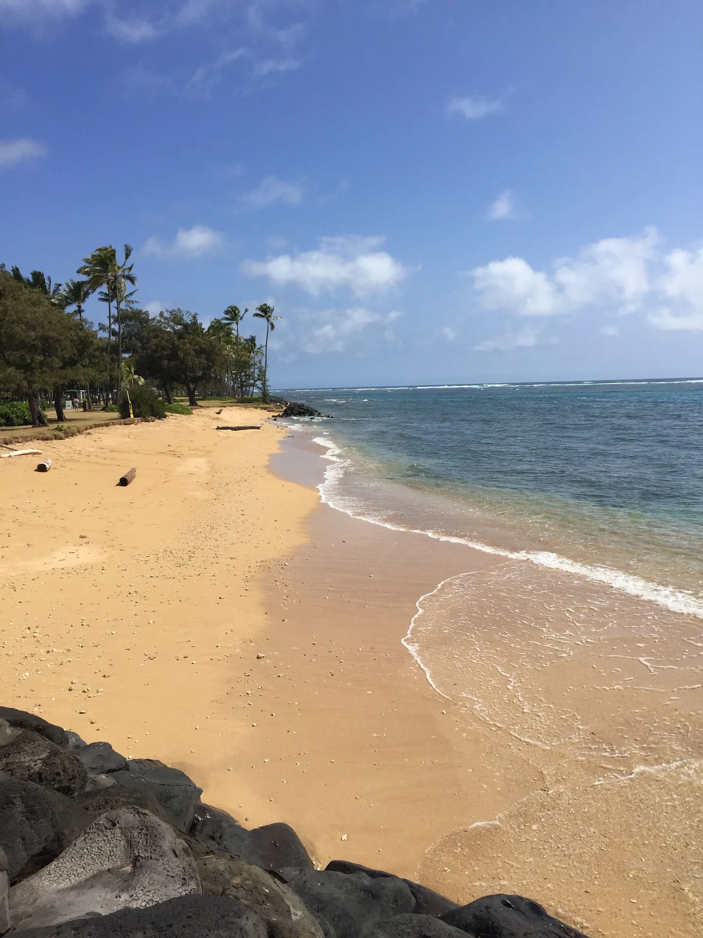 Sandy beach and blue water along the shore at Hotel Coral Reef.