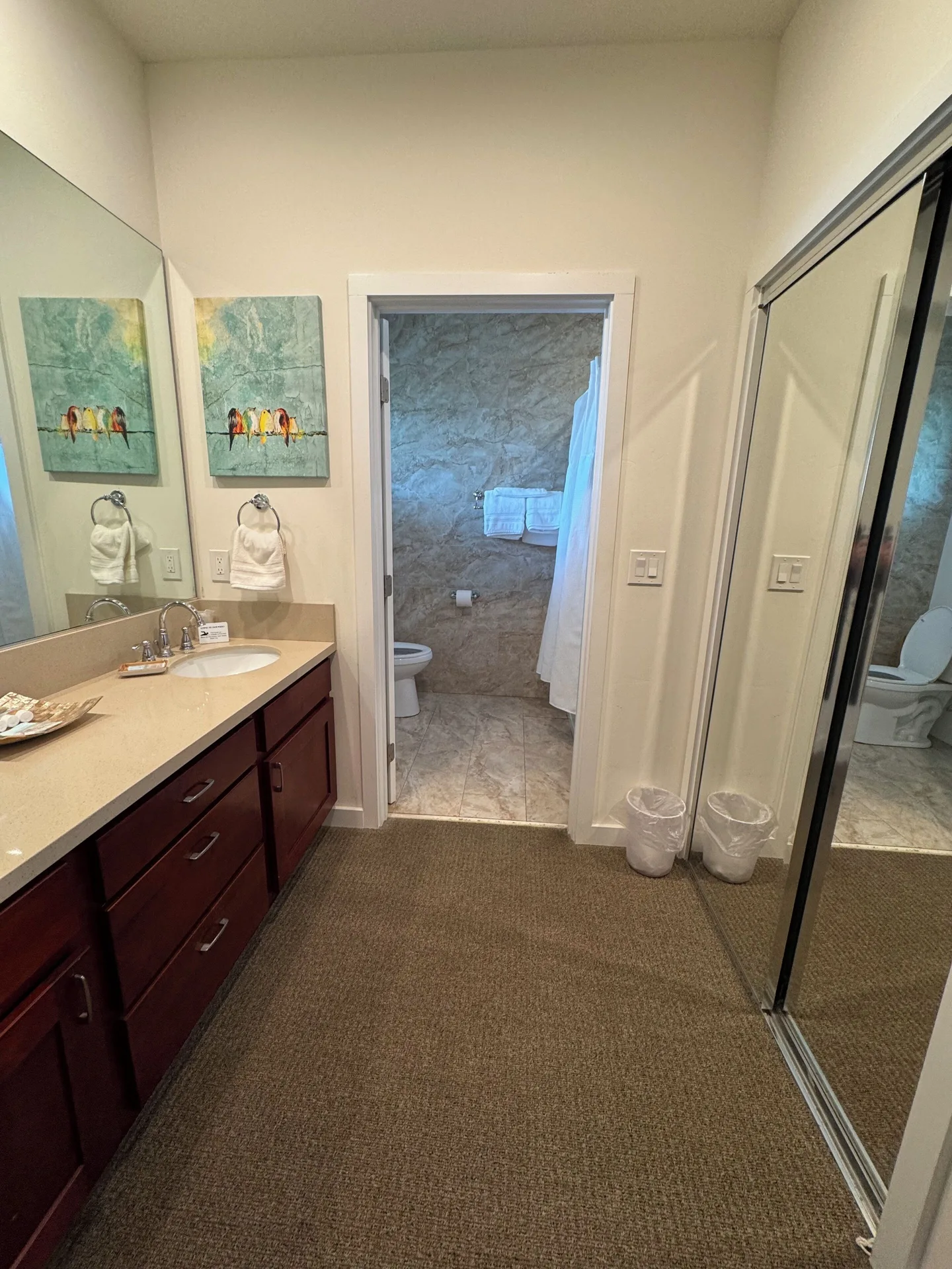 Premium Suite bathroom vanity and mirrored closet at Hotel Coral Reef.