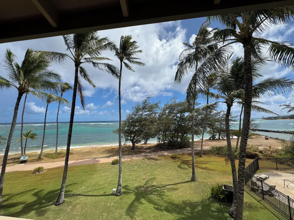 Oceanfront view of palms, lawn and turquoise water from Hotel Coral Reef suite.