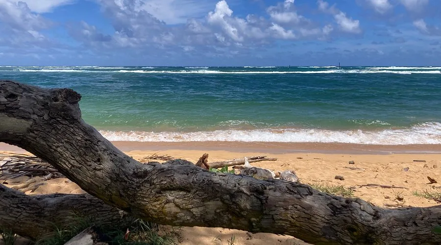 Kapa A Beach Park 5 Min Walk