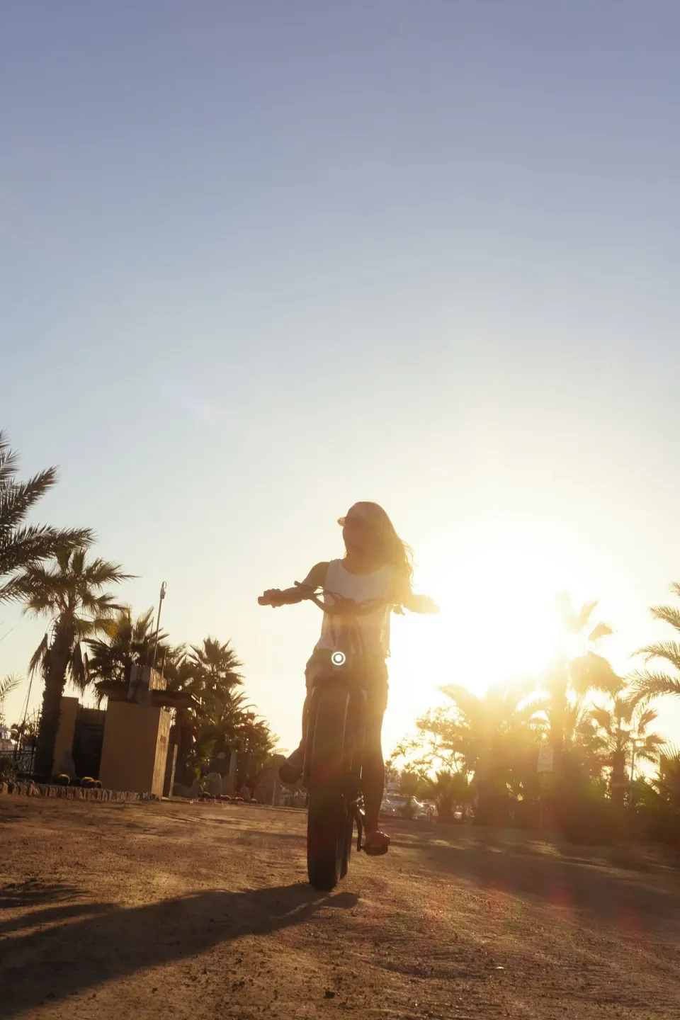 A cyclist rides along a palm-lined road in golden sunlight at Hotel El Ganzo.