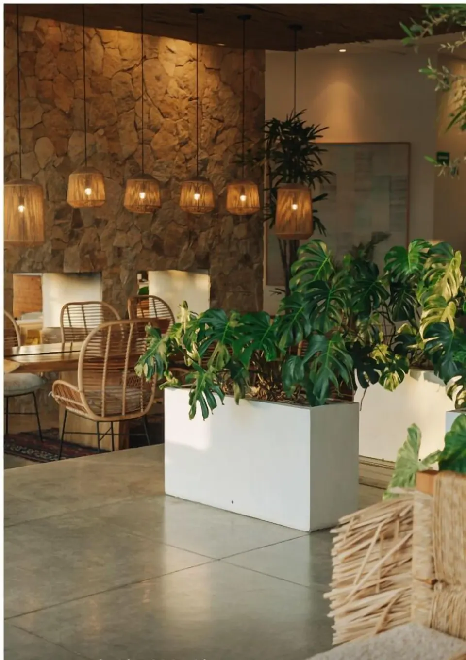 Indoor lounge with wicker chairs, pendant lights, stone walls, and plants at Hotel El Ganzo.