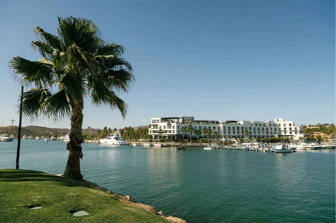 Hotel El Ganzo viewed across the marina with a palm tree, lawn, boats, and calm water.