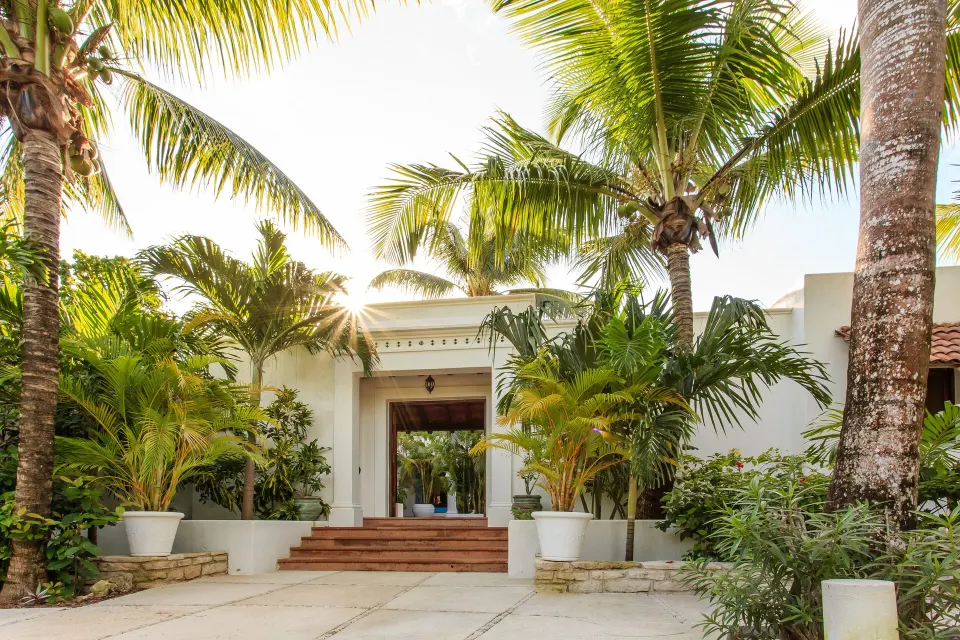 Resort entrance framed by palm trees and planters at Hotel Esencia