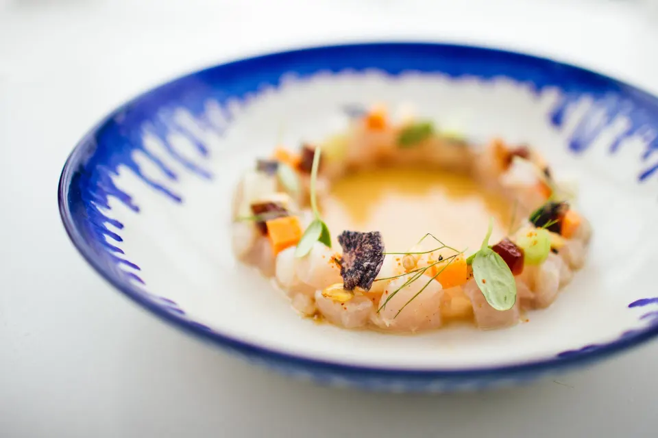 Close-up of a plated seafood ceviche ring at Hotel Esencia.