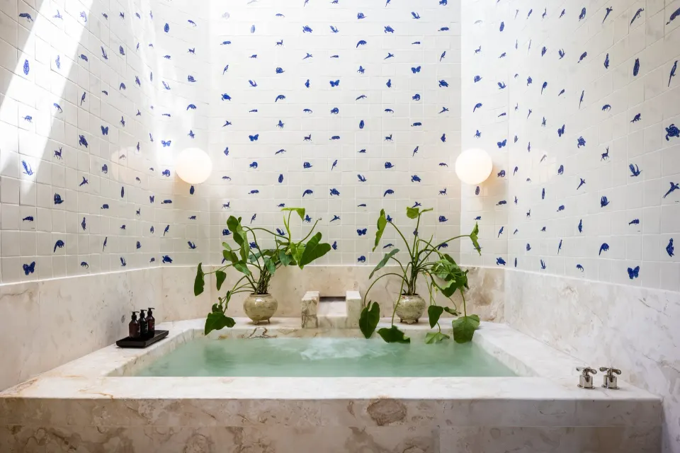 Marble-soaked bathtub with patterned tile walls and potted plants at Hotel Esencia