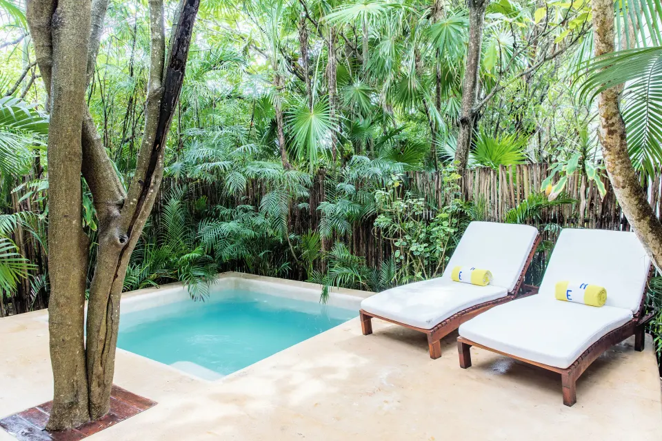 Private plunge pool with two sun loungers surrounded by palms at Hotel Esencia