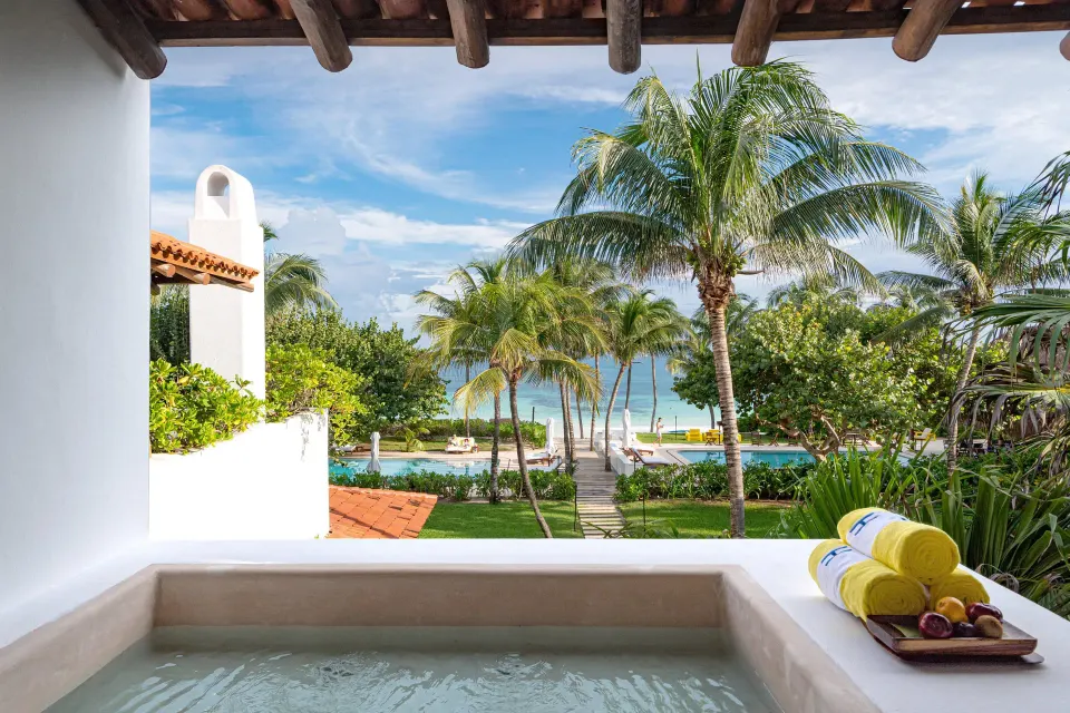 Plunge pool view toward palm trees and the beach from a suite terrace at Hotel Esencia