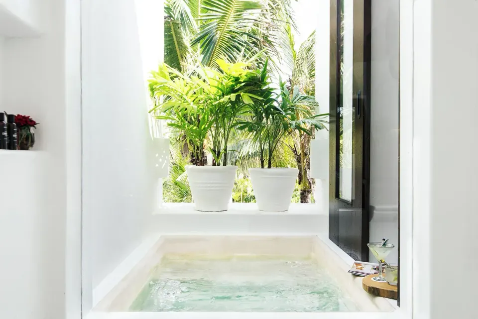 Soaking tub recessed under a window with potted plants at Hotel Esencia