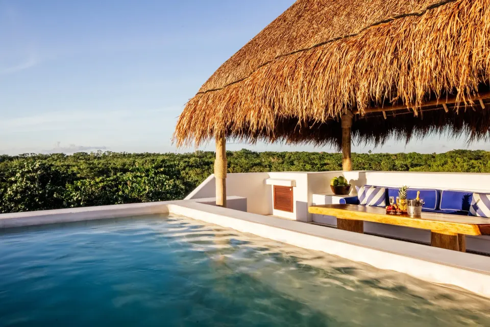 Rooftop pool and palapa lounge on the Suite (Rooftop Wellness) at Hotel Esencia