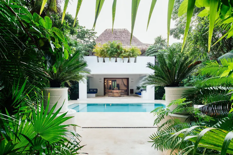 Private villa pool framed by lush tropical foliage at Hotel Esencia.