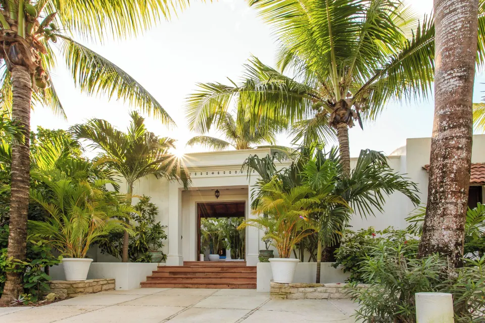 Entrance steps framed by palms leading to a bright villa entrance at Hotel Esencia.