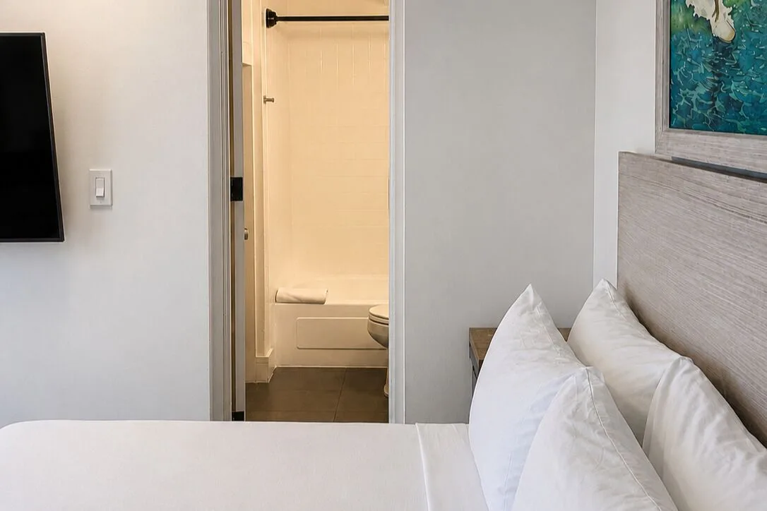 Bronze Room bed beside an open bathroom with tub and wall-mounted TV at Hotel La Croix.