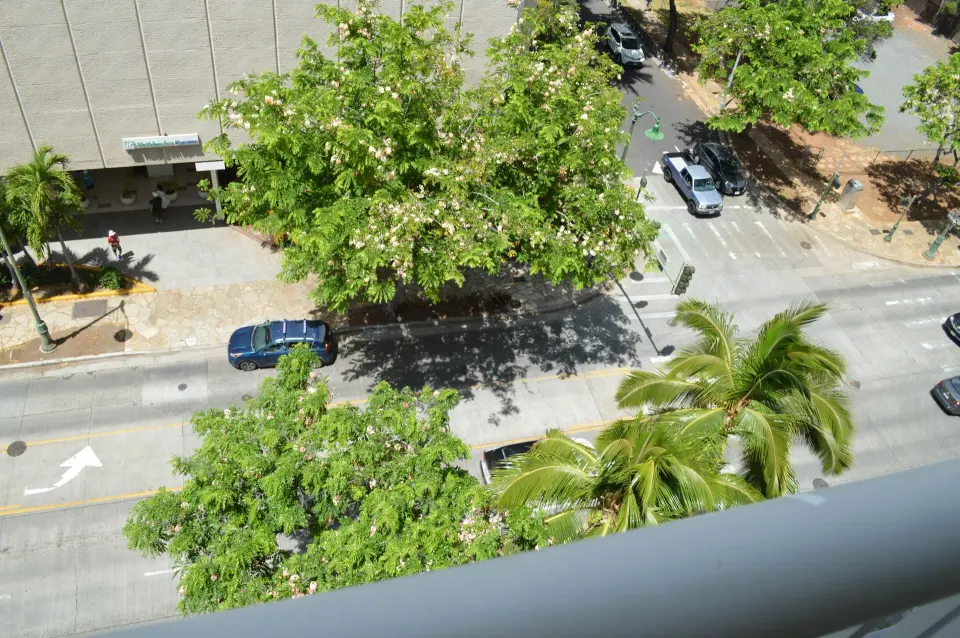 Street and treetop view from a Premium Kalakaua Haus lanai at Hotel La Croix.
