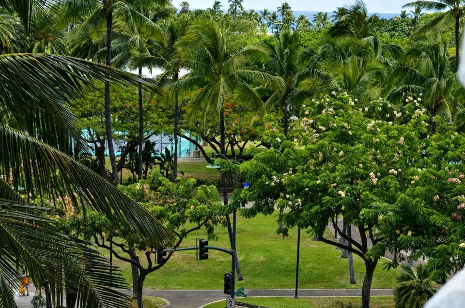 Tree-filled view toward the ocean from a Premium Kalakaua Haus Kitchenette room at Hotel La Croix.