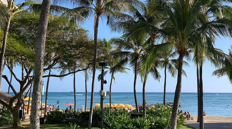 Fort Derussy Beach Park 10 Min Walk