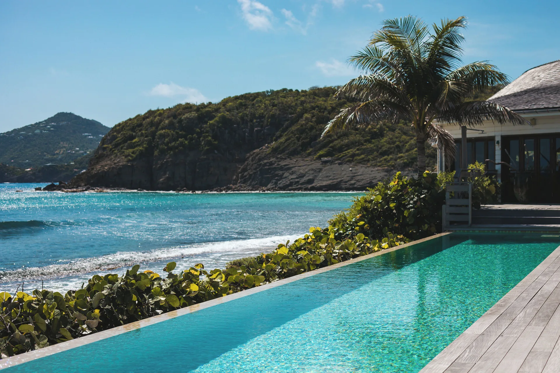 Oceanfront pool with palm tree, deck and rocky bay at Hotel Manapany.
