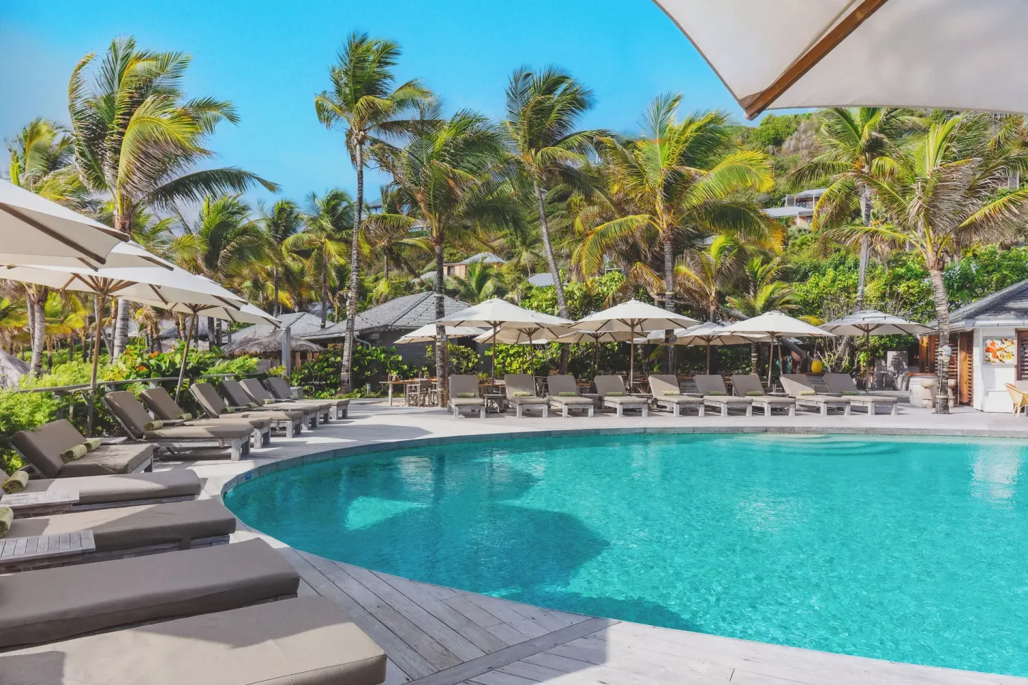 Curved outdoor pool surrounded by loungers, umbrellas, and palm trees at Hotel Manapany.