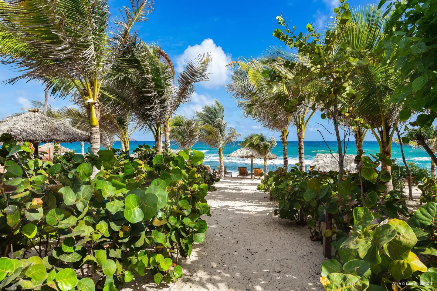 Tropical garden path opening to the beach at Hotel Manapany.