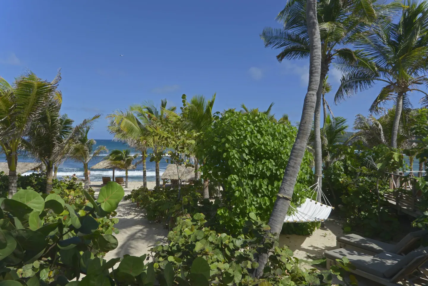 Tropical garden with palms, a hammock, and the beach beyond at Hotel Manapany.