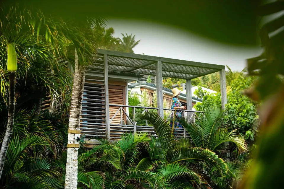 Tropical Room exterior terrace surrounded by palms at Hotel Manapany.