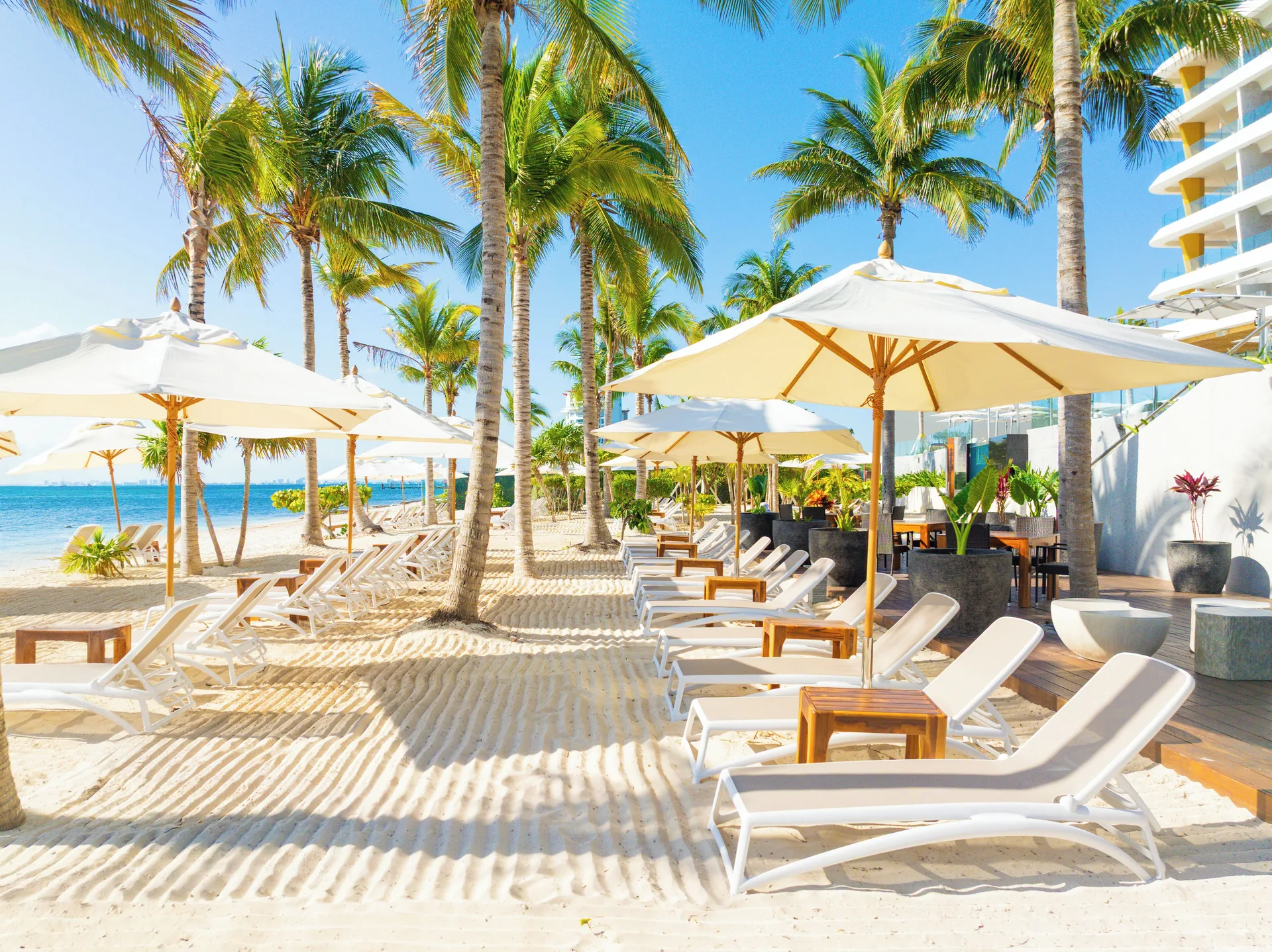Beach loungers and white umbrellas beneath palms at Hotel Mousai Cancun.