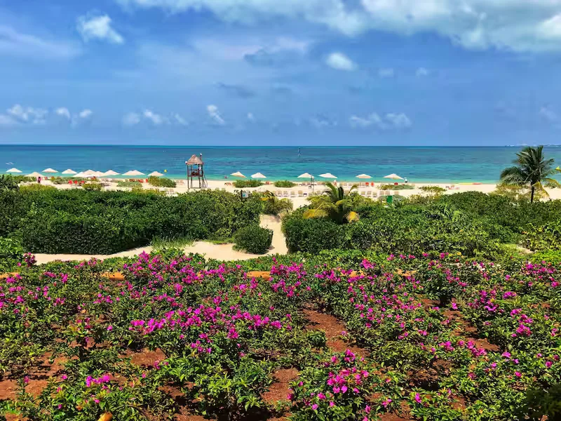 Punta Sam Beach 15 Min Walk