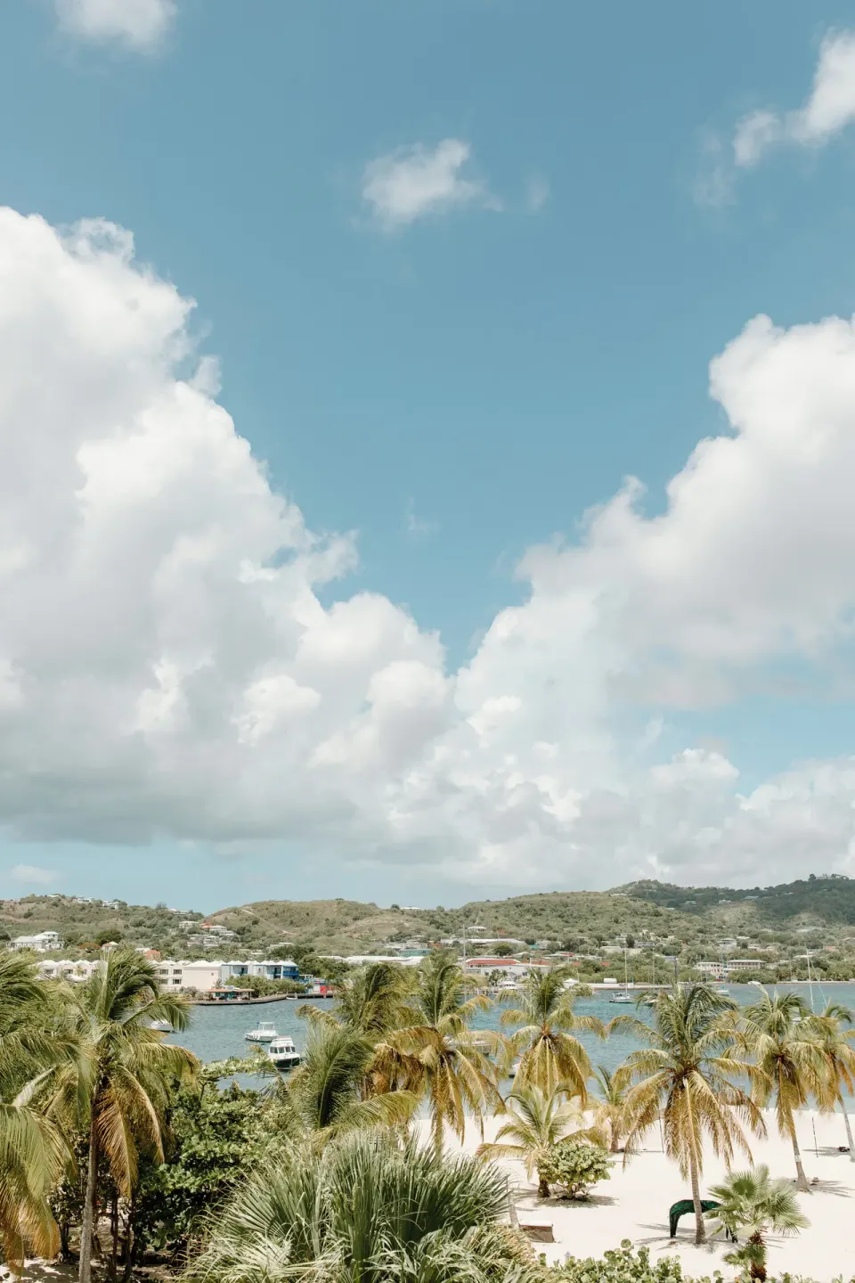 Elevated view of palms, beach, harbor, and hills from Hotel on the Cay.