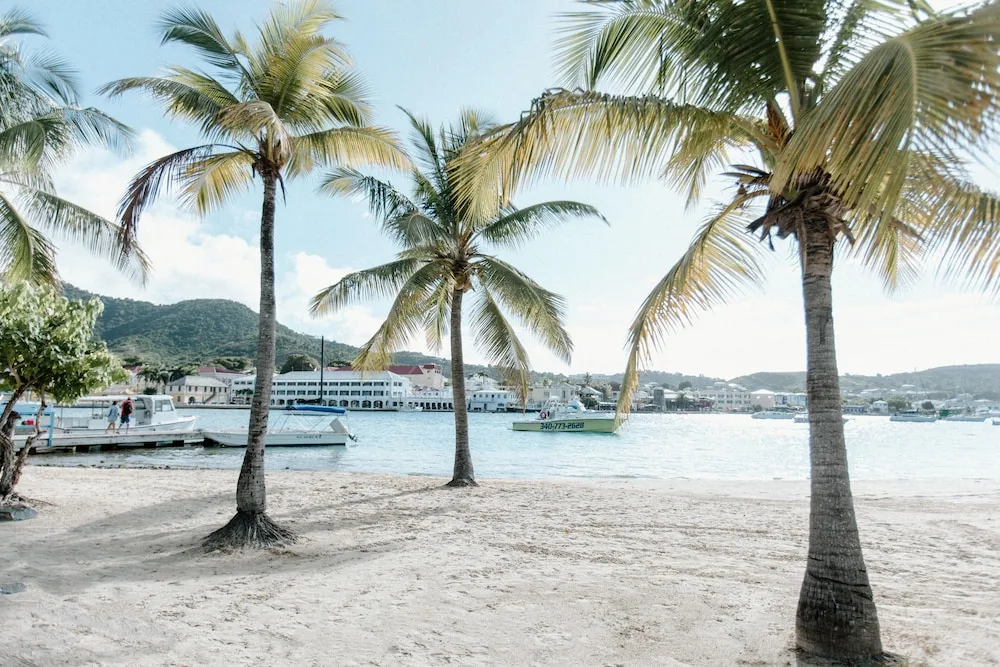 Palm trees, sandy shore, docked boats, and harbor buildings at Hotel on the Cay.
