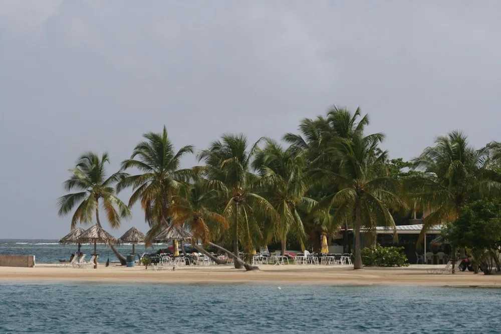 Palm-lined beach with lounge chairs and water view at Hotel on the Cay.