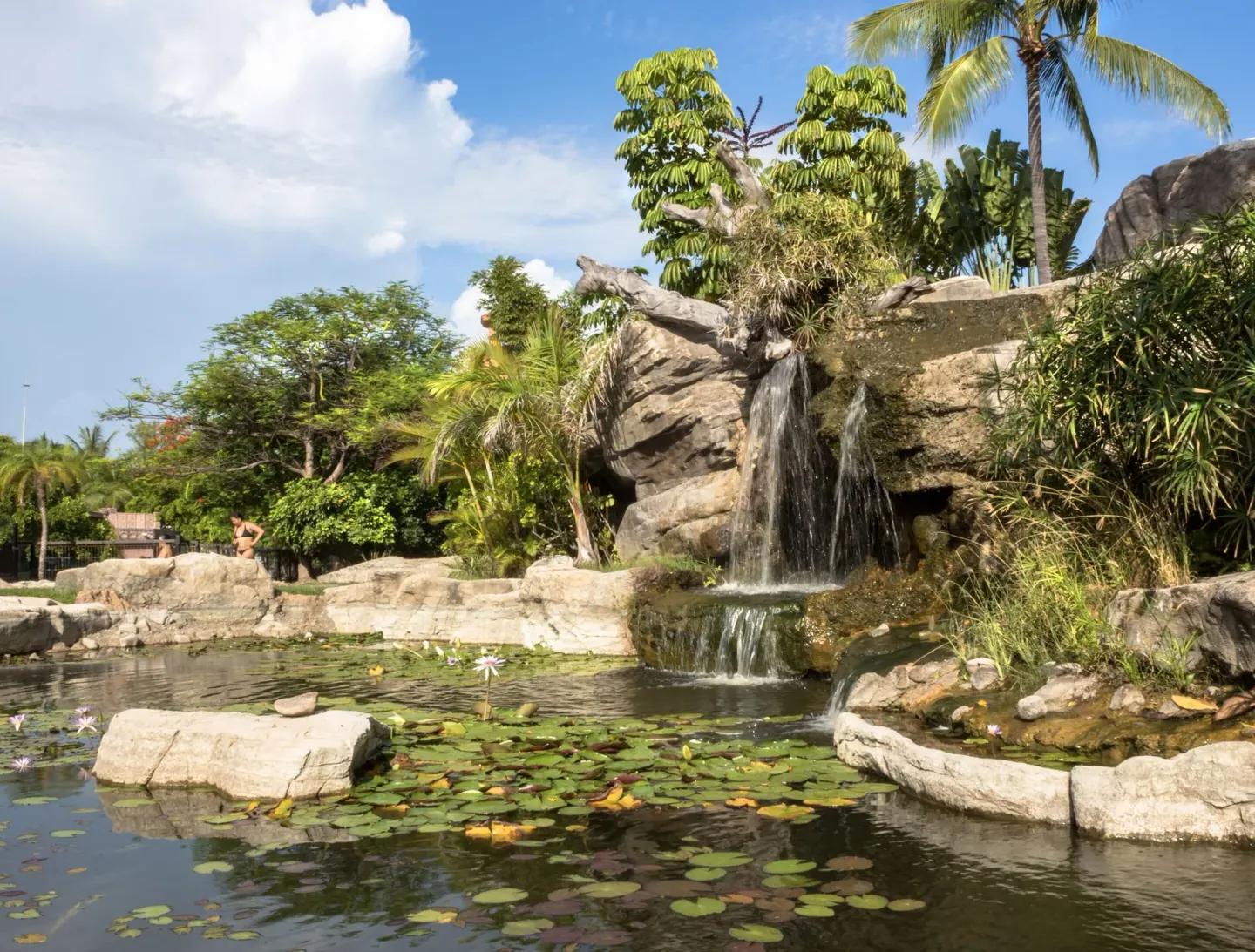 Lily pond with a rock waterfall and tropical plants at Hotel Playa Mazatlan.