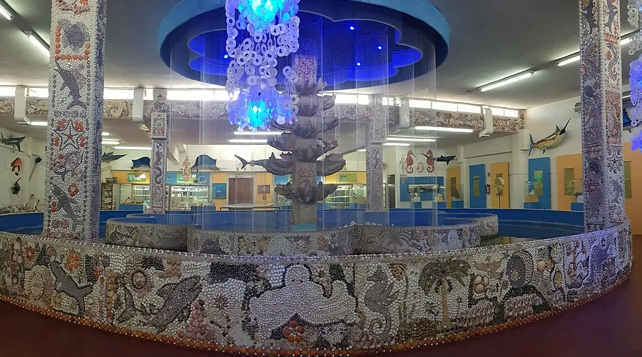 Sea Shell City Museum 1 Min Walk