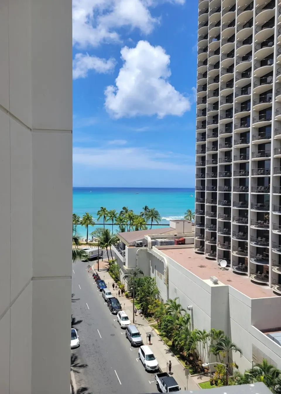 Ocean and palm-lined street view between buildings near Hotel Renew.