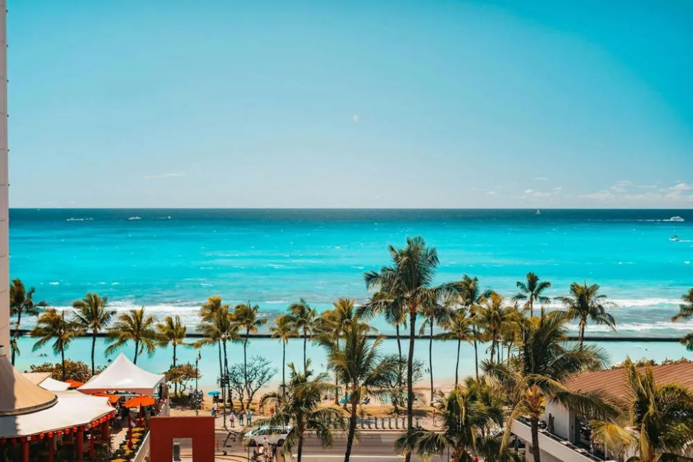 Ocean, palm trees, and Waikiki shoreline seen from a City View room at Hotel Renew.
