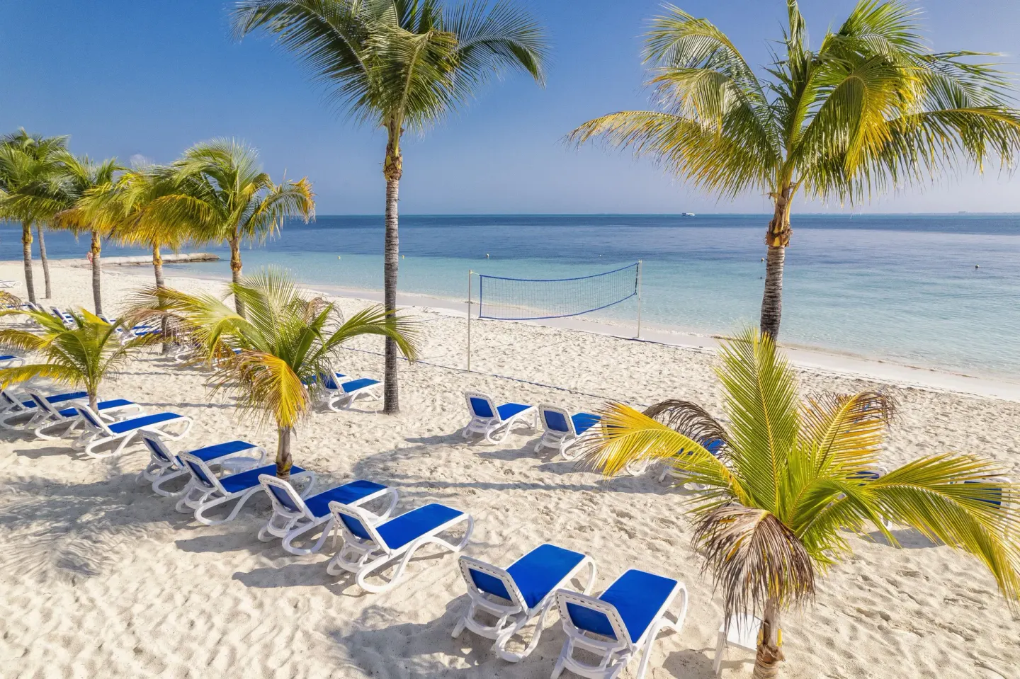 Sandy beach with blue lounge chairs, palm trees and a volleyball net at Hotel Riu Caribe.