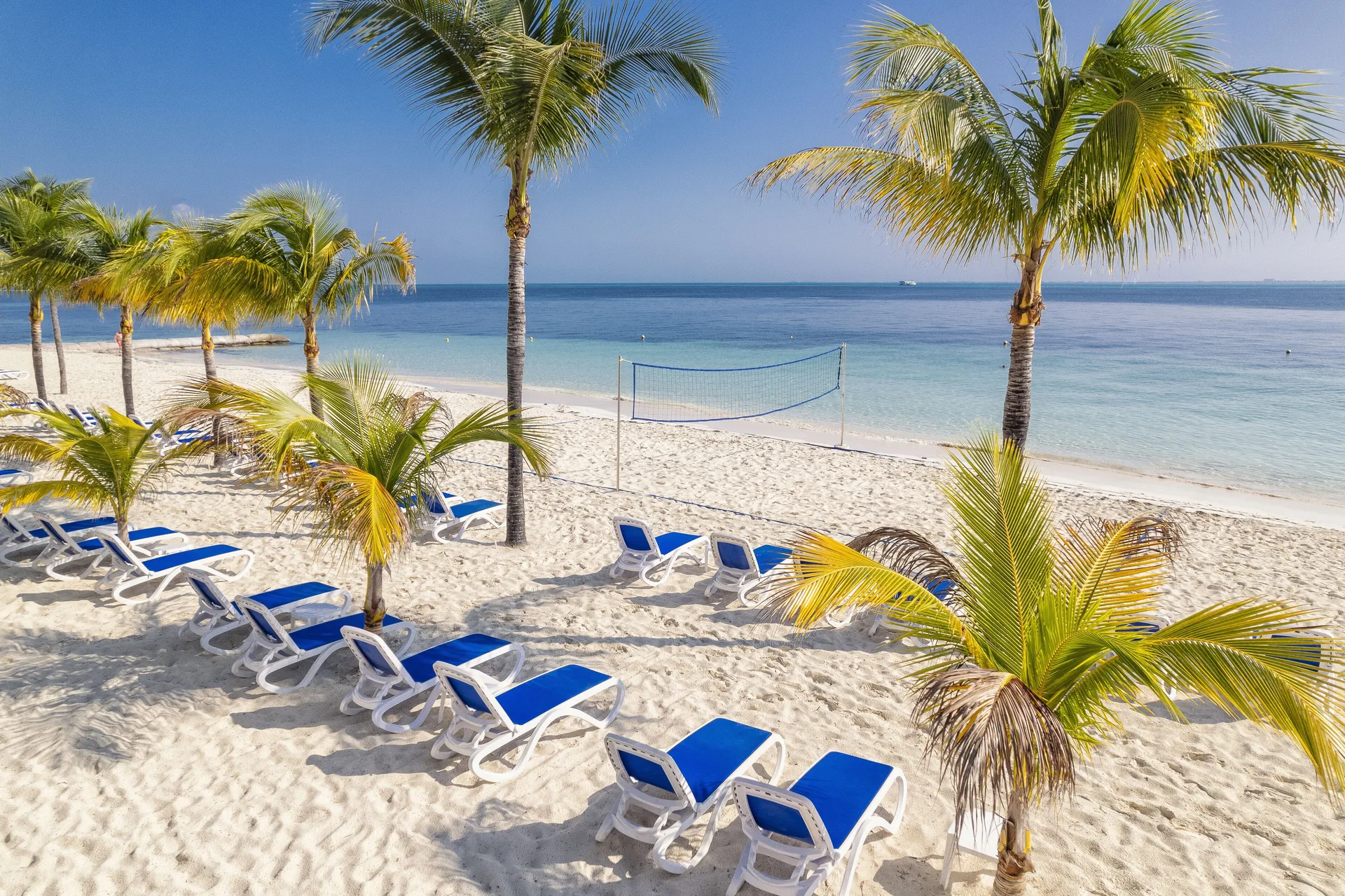 Sandy beach with blue lounge chairs, palm trees and a volleyball net at Hotel Riu Caribe.