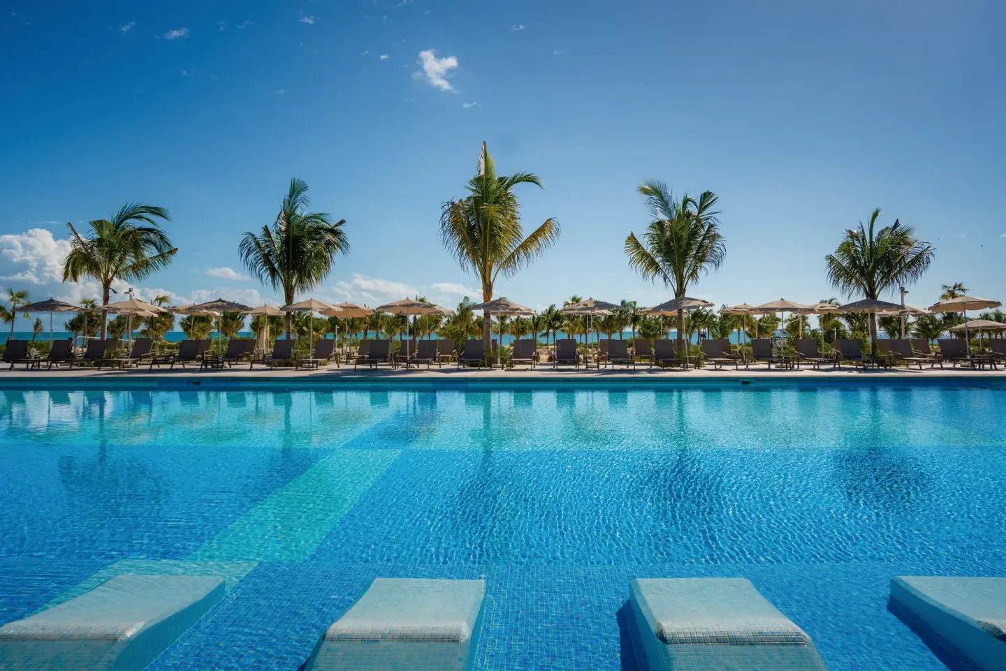 Resort pool with in-water loungers, palm trees, and umbrellas at Hotel Riu Latino.