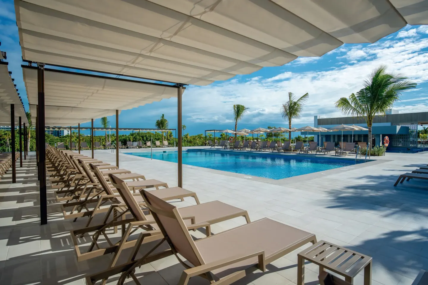 Shaded rows of pool loungers beside the main pool at Hotel Riu Latino.