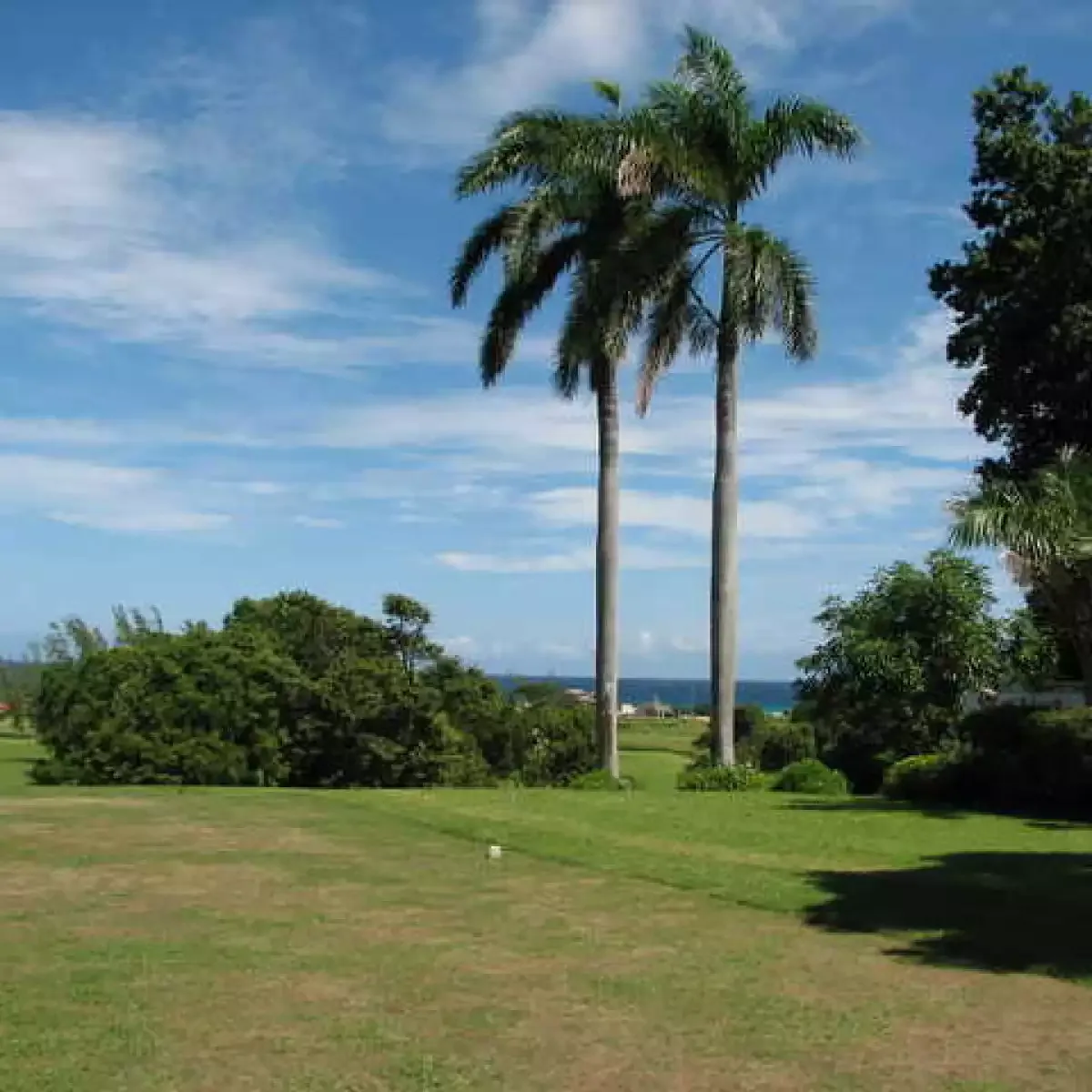 Superclubs Ironshore Golf And Country Club 5 Min Drive