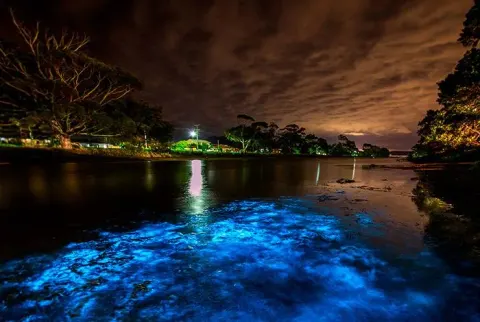 Luminous Lagoon 10 Min Drive
