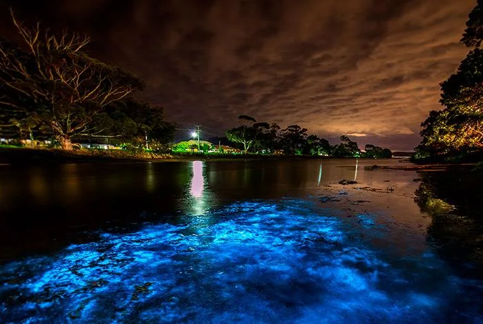 Luminous Lagoon 10 Min Drive