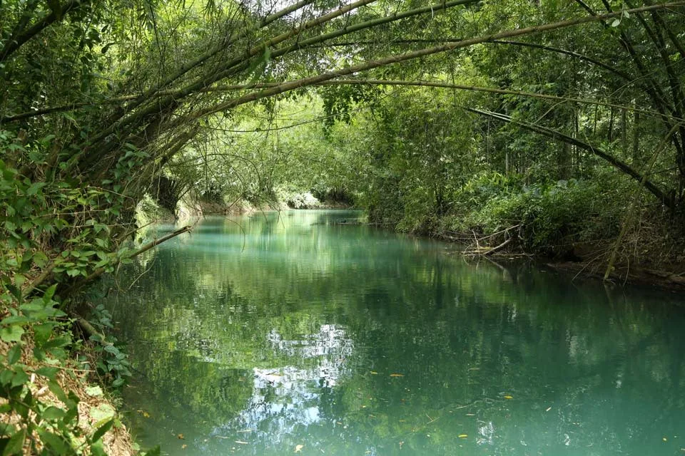 Martha Brae River 15 Min Walk