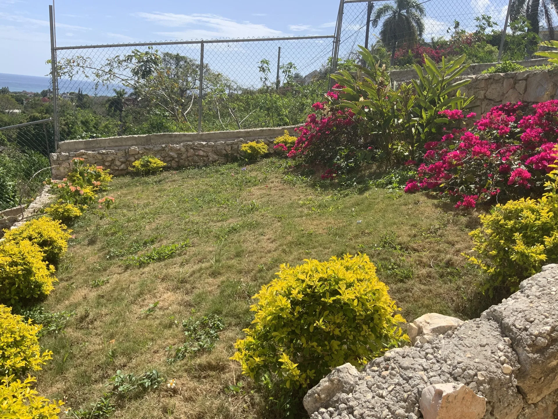 Poinciana House Jamaica guest lodging with homelike rooms and quiet tropical setting