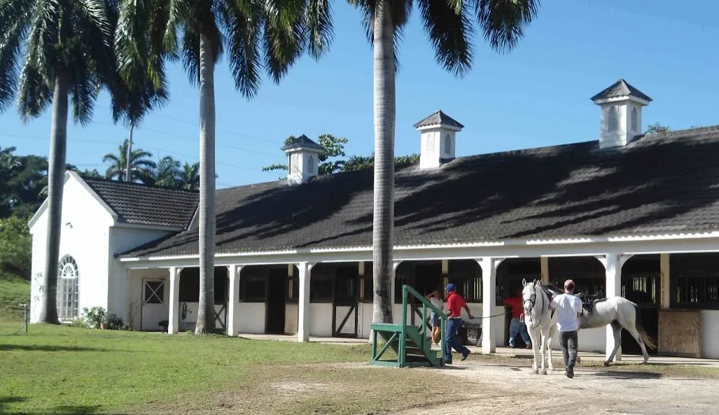 Half Moon Bay Equestrian Centre 5 Min Drive