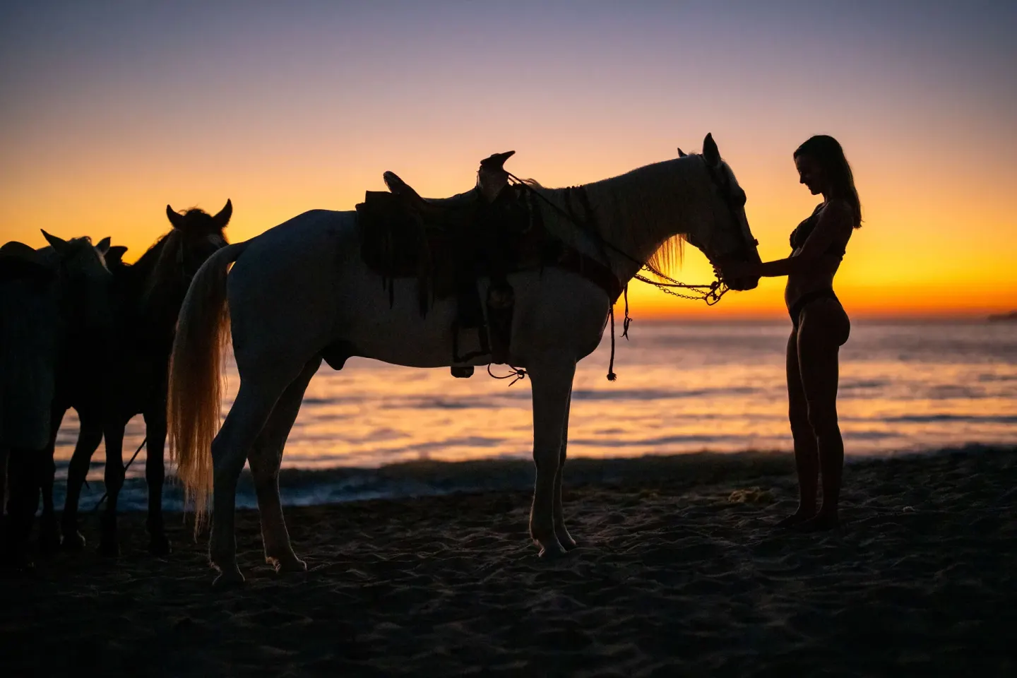 A guest stands with a horse silhouetted at sunset at Hotel Riu Palace Pacifico.
