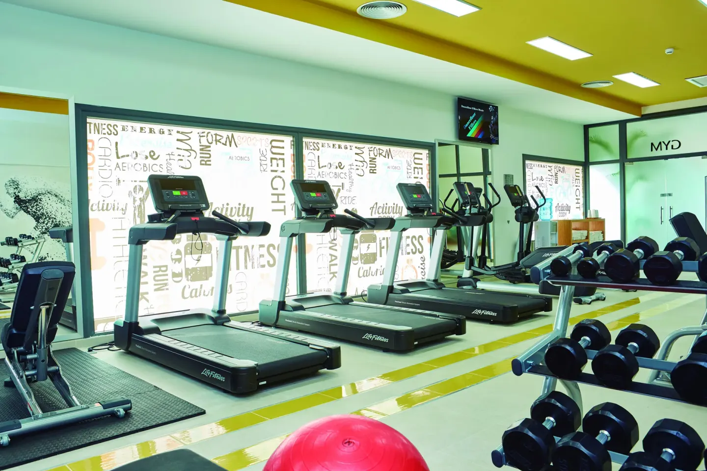 Fitness center with treadmills, ellipticals, and dumbbells at Hotel Riu Palace Punta Cana.