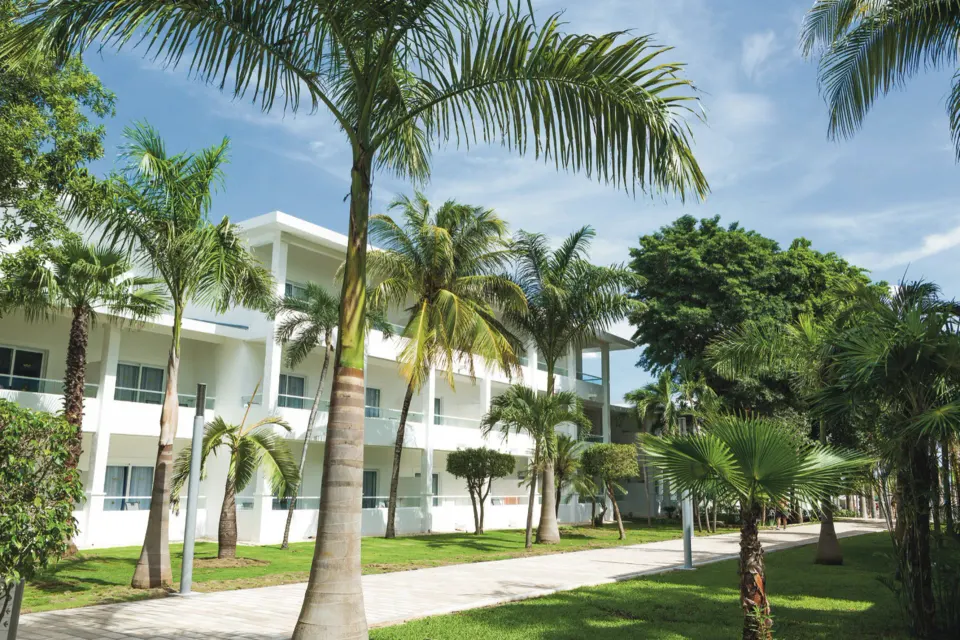 Pathway lined with palm trees and white guest buildings at Hotel Riu Playacar